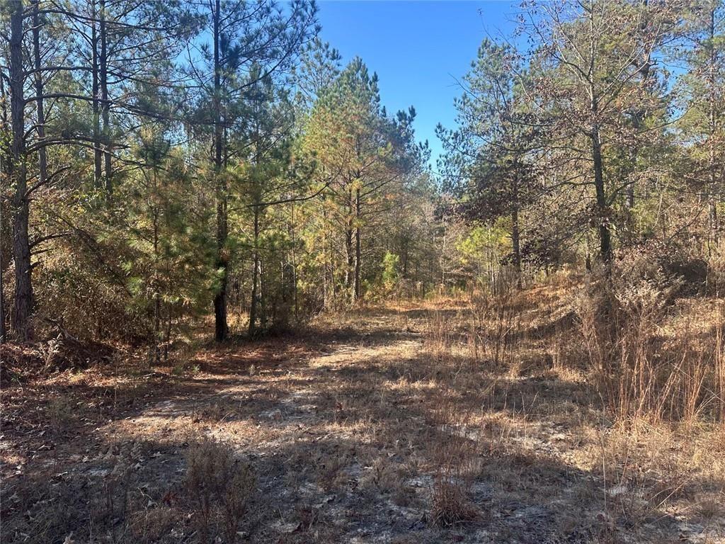 0 North Indian Trail Road Sandersville, GA 31082 - Photo 14 of 26