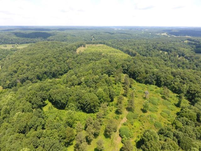 650 Shuler Branch Road Ethridge, TN 38456 - Photo 1 of 25 Gallery Image 1