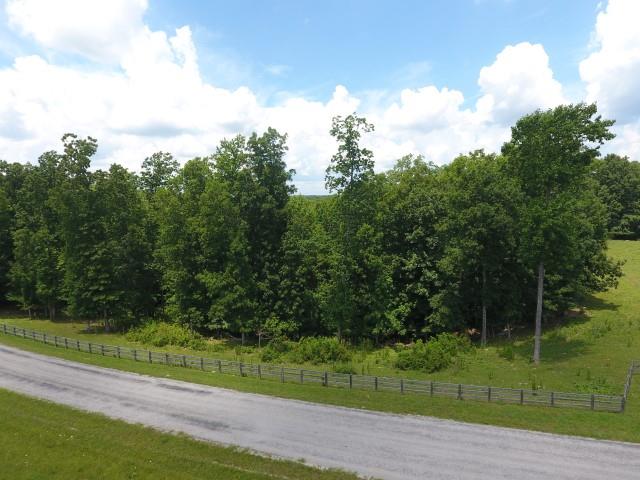 650 Shuler Branch Road Ethridge, TN 38456 - Photo 14 of 25 Gallery Image 14