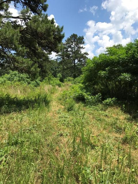 650 Shuler Branch Road Ethridge, TN 38456 - Photo 19 of 25 Gallery Image 19
