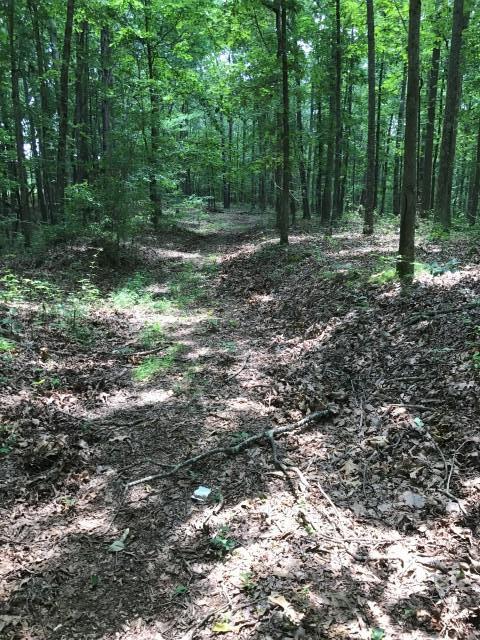650 Shuler Branch Road Ethridge, TN 38456 - Photo 21 of 25 Gallery Image 21