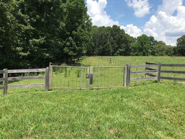 650 Shuler Branch Road Ethridge, TN 38456 - Photo 3 of 25 Gallery Image 3
