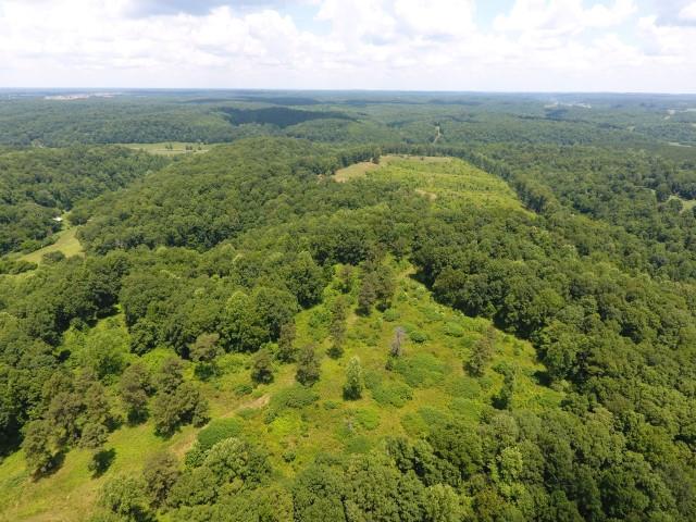 650 Shuler Branch Road Ethridge, TN 38456 - Photo 4 of 25 Gallery Image 4