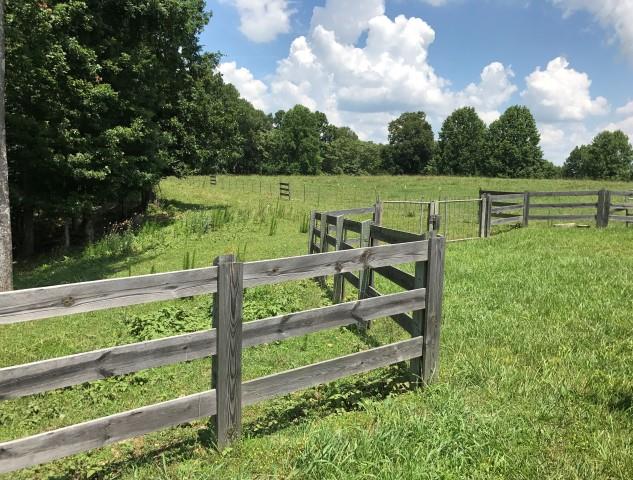 650 Shuler Branch Road Ethridge, TN 38456 - Photo 5 of 25 Gallery Image 5