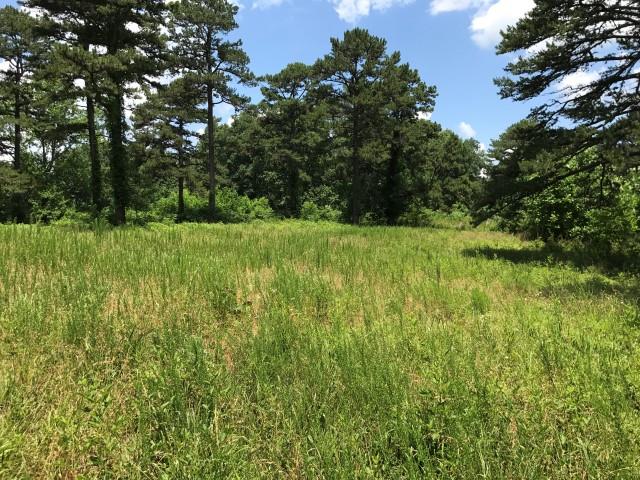 650 Shuler Branch Road Ethridge, TN 38456 - Photo 8 of 25 Gallery Image 8