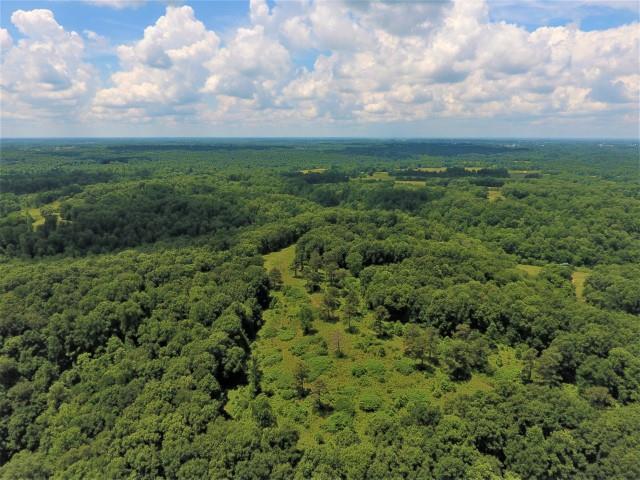 650 Shuler Branch Road Ethridge, TN 38456 - Photo 9 of 25 Gallery Image 9