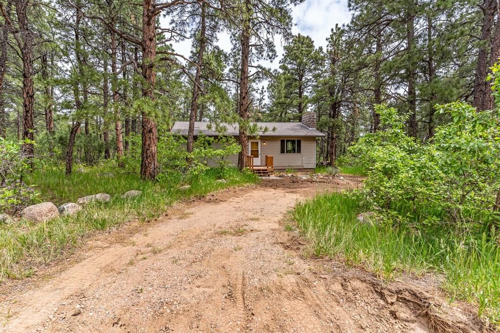 8155 Birch Drive Rye, CO 81069 - Photo 18 of 35 Gallery Image 18