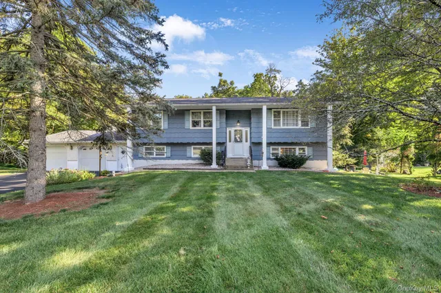 a view of a big yard with plants and large trees