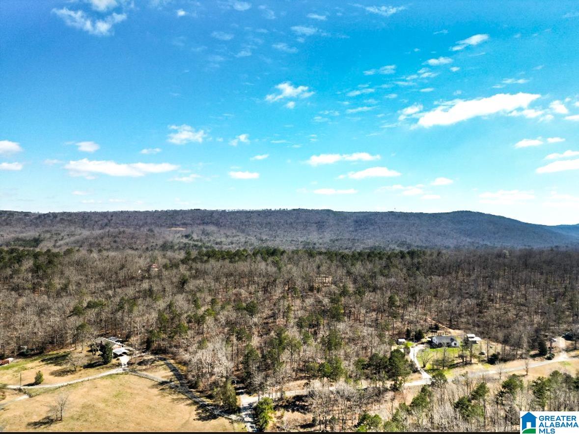 1931 Red Valley Road Remlap, AL 35133 - Photo 4 of 17
