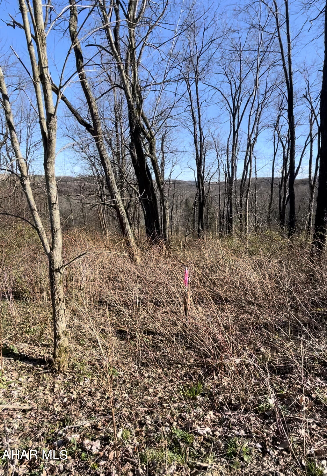 . Brick Road Ebensburg, PA 15931 - Photo 6 of 20