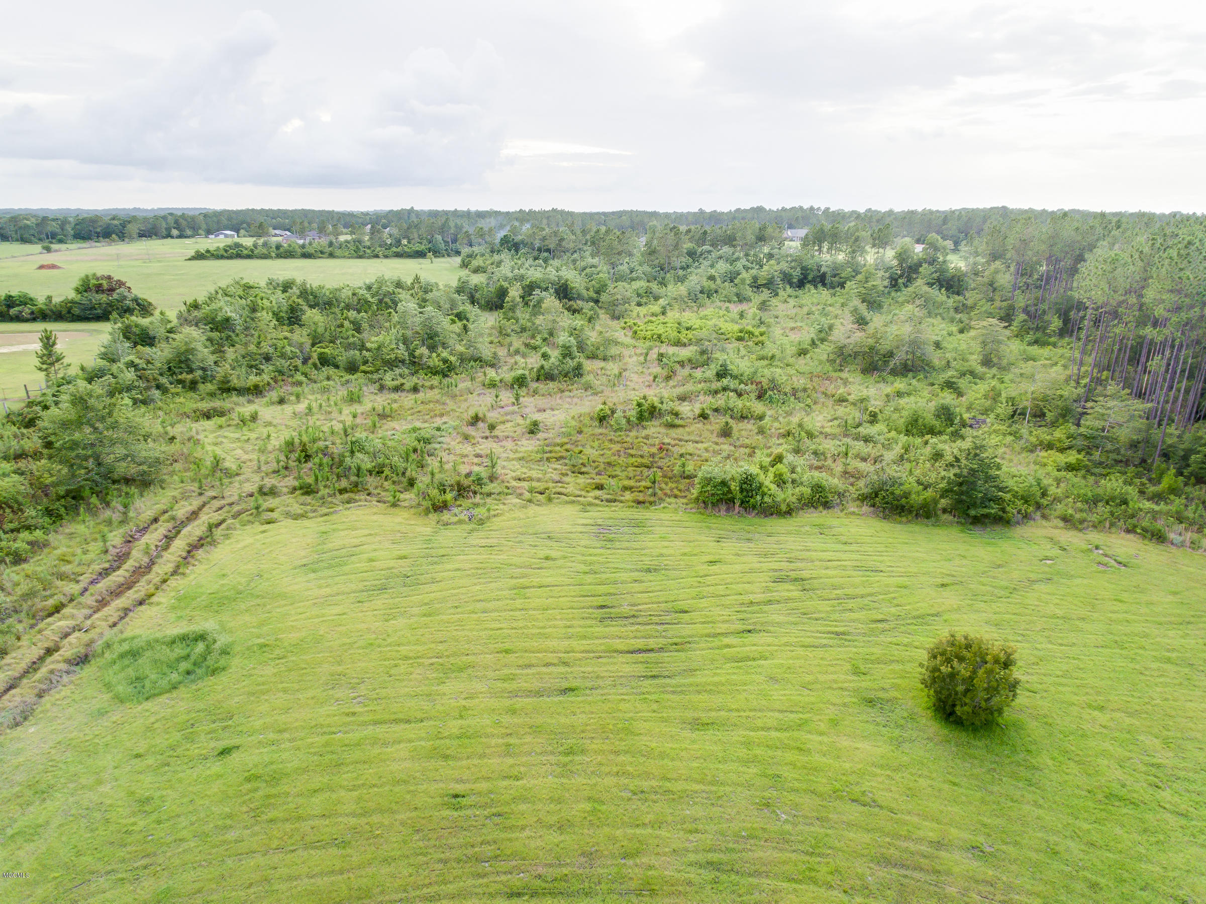 18341 Julius Cuevas Road Saucier, MS 39574 - Photo 37 of 78 18341JuliusCuevas-75