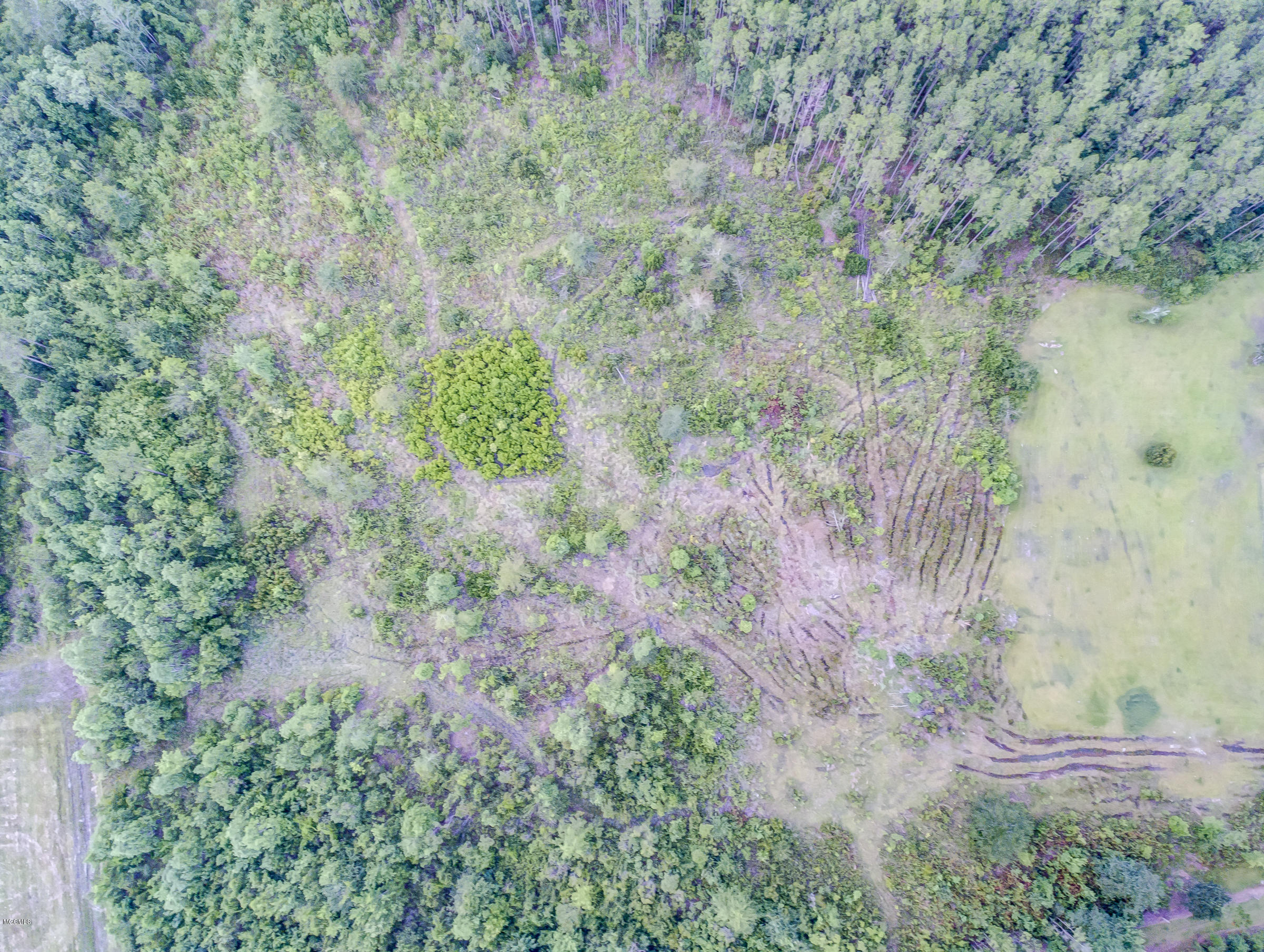 18341 Julius Cuevas Road Saucier, MS 39574 - Photo 39 of 78 18341JuliusCuevas-77