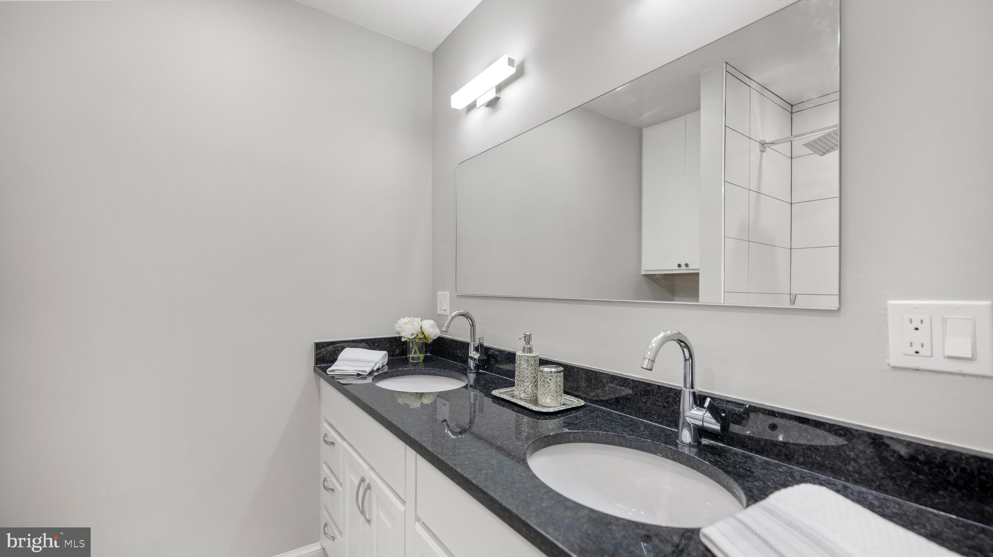 15705 Barnesville Road Boyds, MD 20841 - Photo 20 of 49 a bathroom with a sink and a mirror