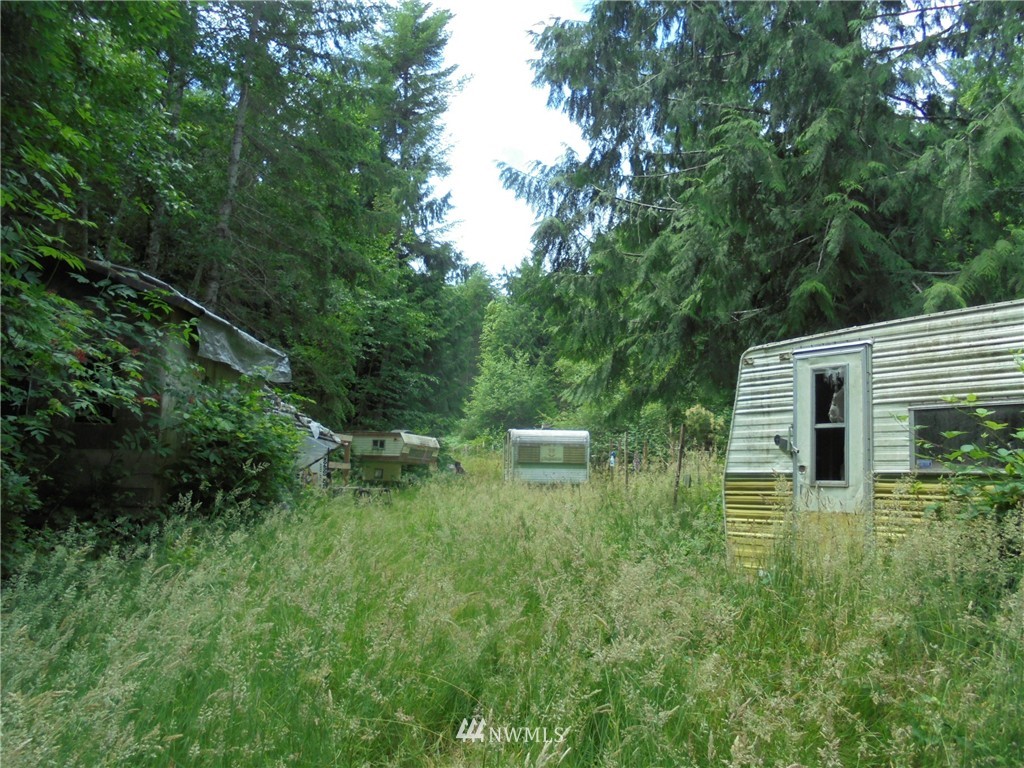 500 L Lee Valley Road Quilcene, WA 98376 - Photo 2 of 12 Gallery Image 2
