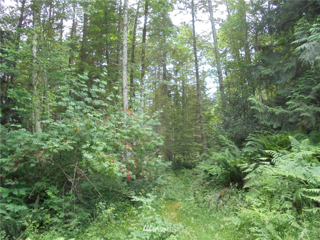 500 L Lee Valley Road Quilcene, WA 98376 - Photo 11 of 12 Gallery Image 11