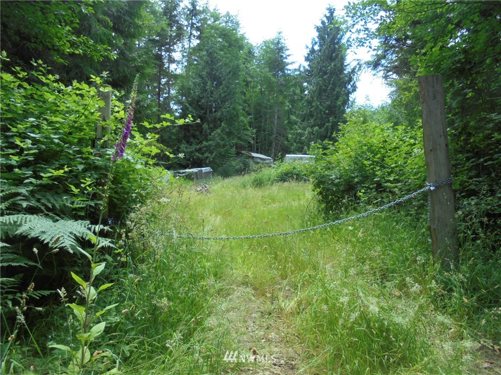 500 L Lee Valley Road Quilcene, WA 98376 - Photo 12 of 12 Gallery Image 12