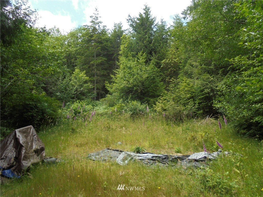 500 L Lee Valley Road Quilcene, WA 98376 - Photo 3 of 12 Gallery Image 3