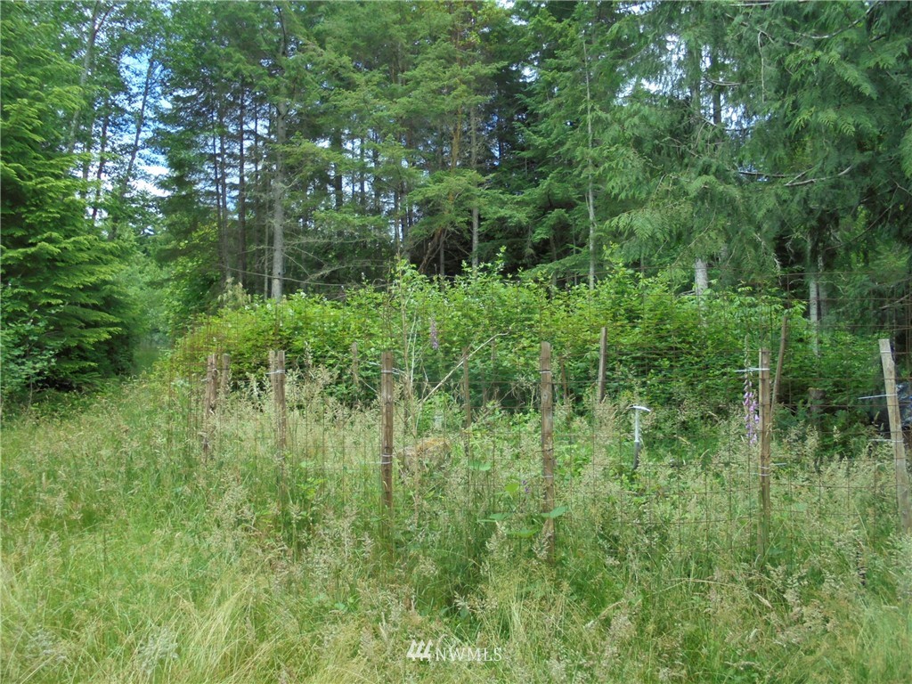 500 L Lee Valley Road Quilcene, WA 98376 - Photo 4 of 12 Gallery Image 4