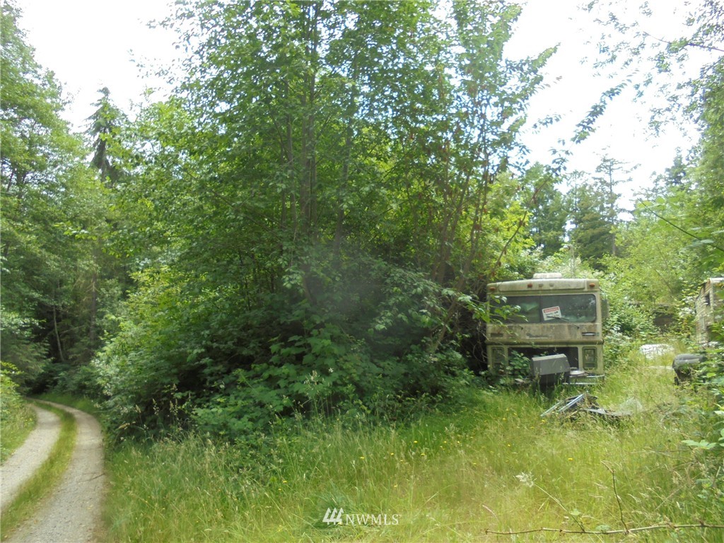 500 L Lee Valley Road Quilcene, WA 98376 - Photo 6 of 12 Gallery Image 6