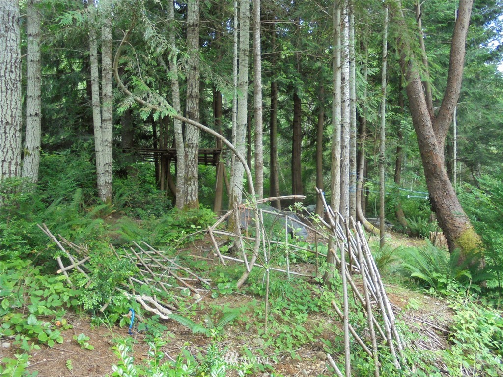 500 L Lee Valley Road Quilcene, WA 98376 - Photo 7 of 12 Gallery Image 7