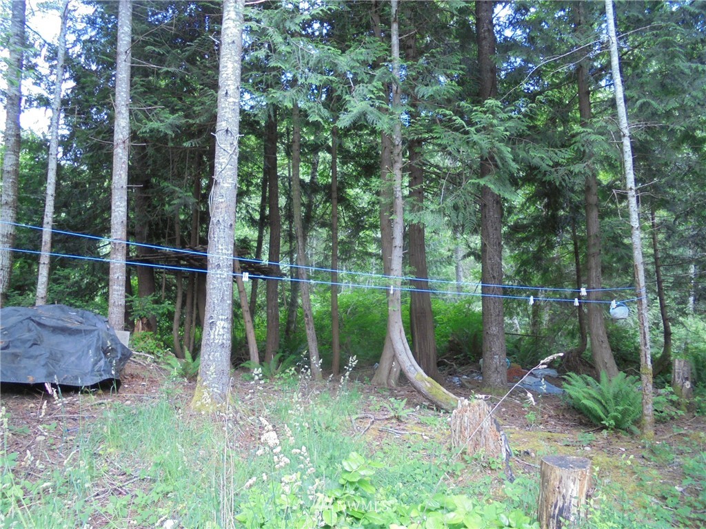 500 L Lee Valley Road Quilcene, WA 98376 - Photo 8 of 12 Gallery Image 8