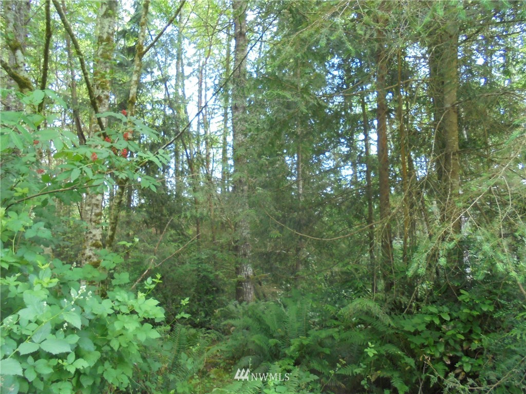 500 L Lee Valley Road Quilcene, WA 98376 - Photo 9 of 12 Gallery Image 9