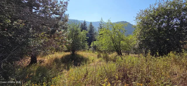 $399,999 | 235 Rio Vista Street, Osburn, ID 83849