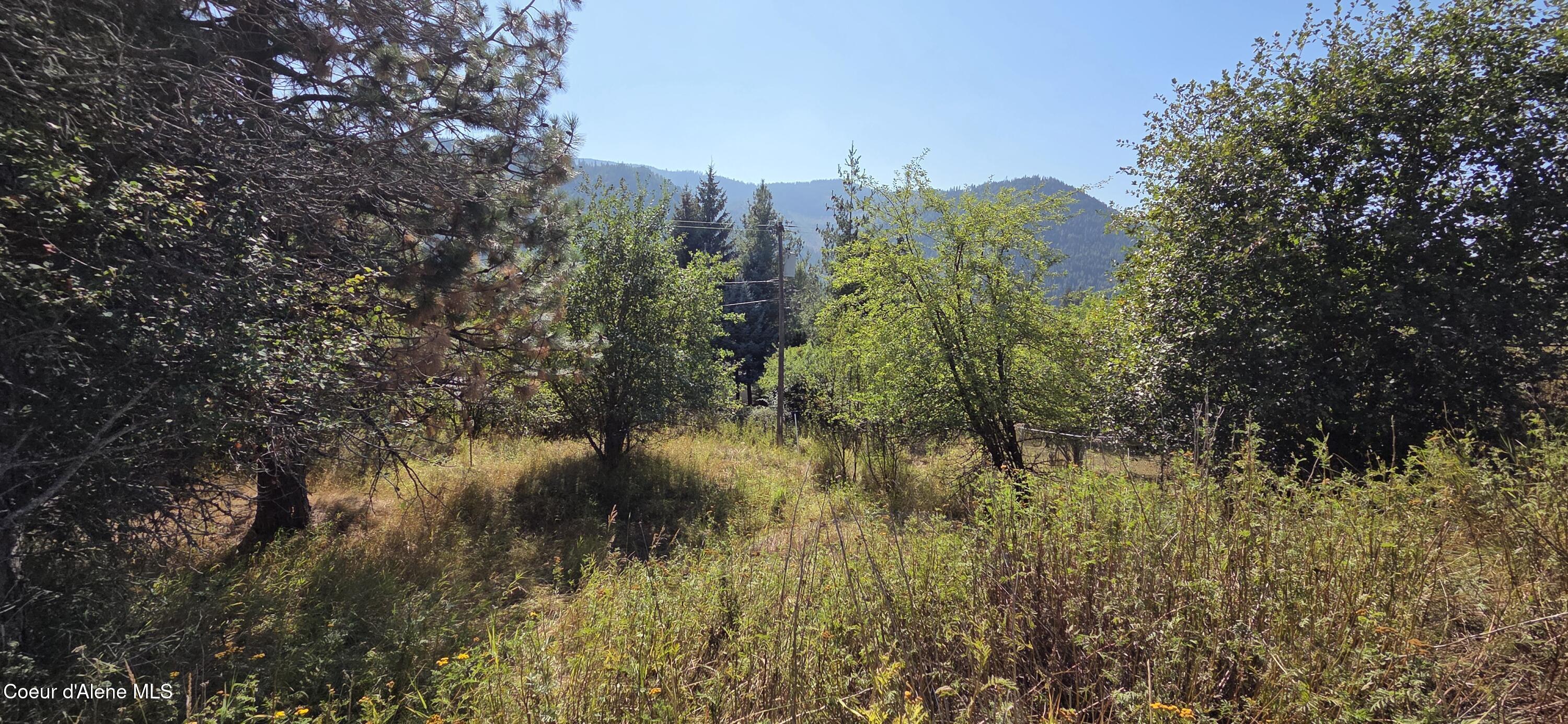 235 Rio Vista Street Osburn, ID 83849 - Photo 4 of 11 Back yard