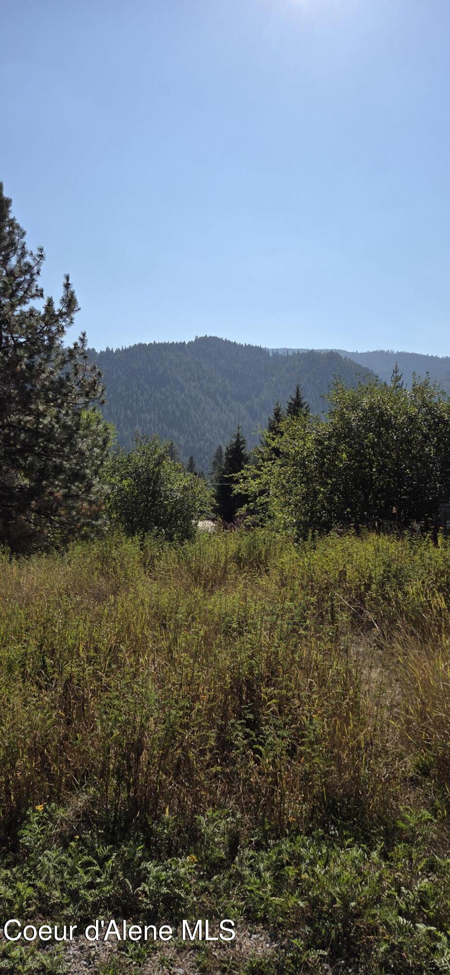 235 Rio Vista Street Osburn, ID 83849 - Photo 6 of 11 Back yard views