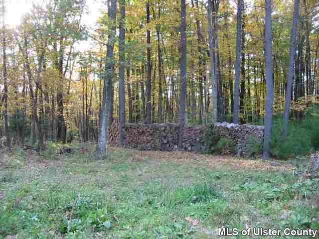 384 County Route Olivebridge, NY 12461 - Photo 4 of 4 Photo 4