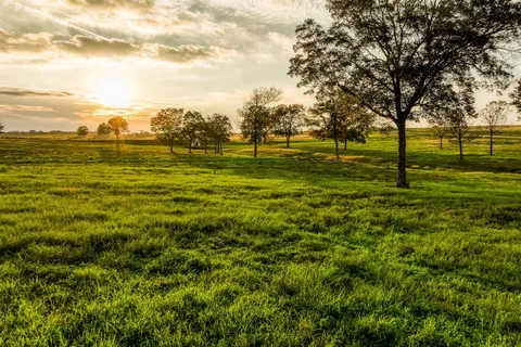 $245,228 | Sunshine, Chappell Hill, TX 77426