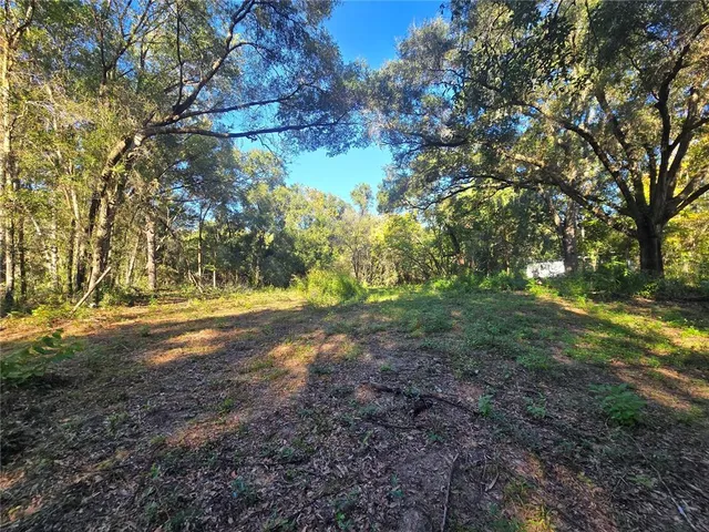 a view of yard with green space