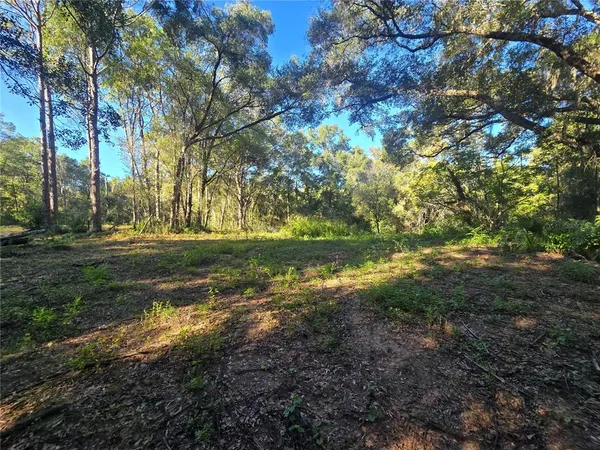 a view of yard with green space