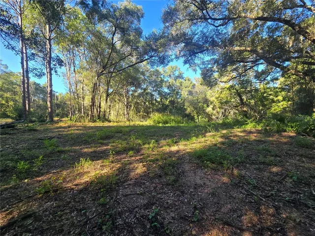 a view of yard with green space