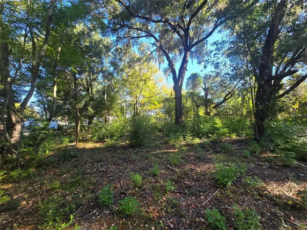 a view of outdoor space and trees