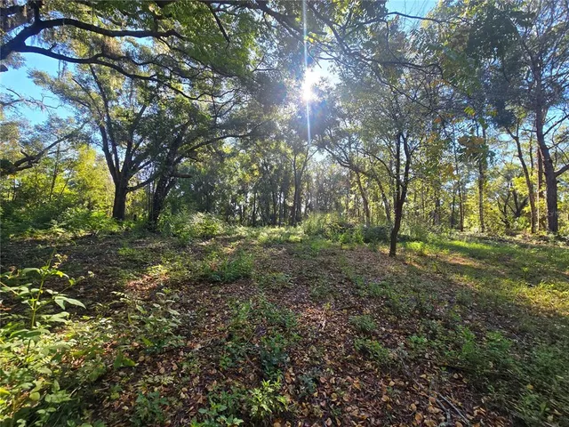 a view of outdoor space and yard
