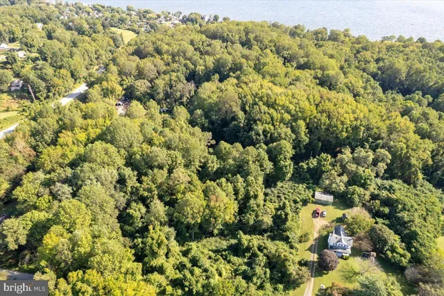 an aerial view of a houses with a lush green forest