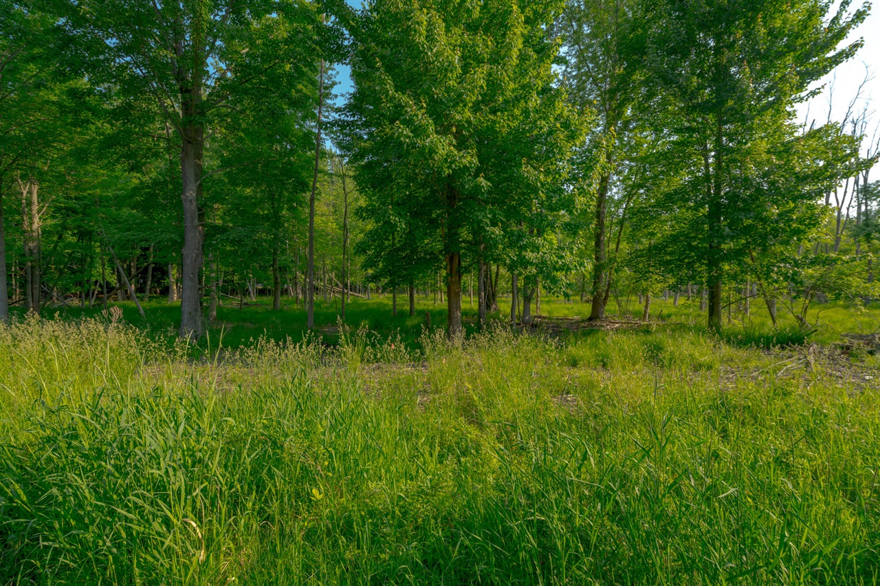 0 Wiley Road Douglas, MI 49406 - Photo 7 of 12