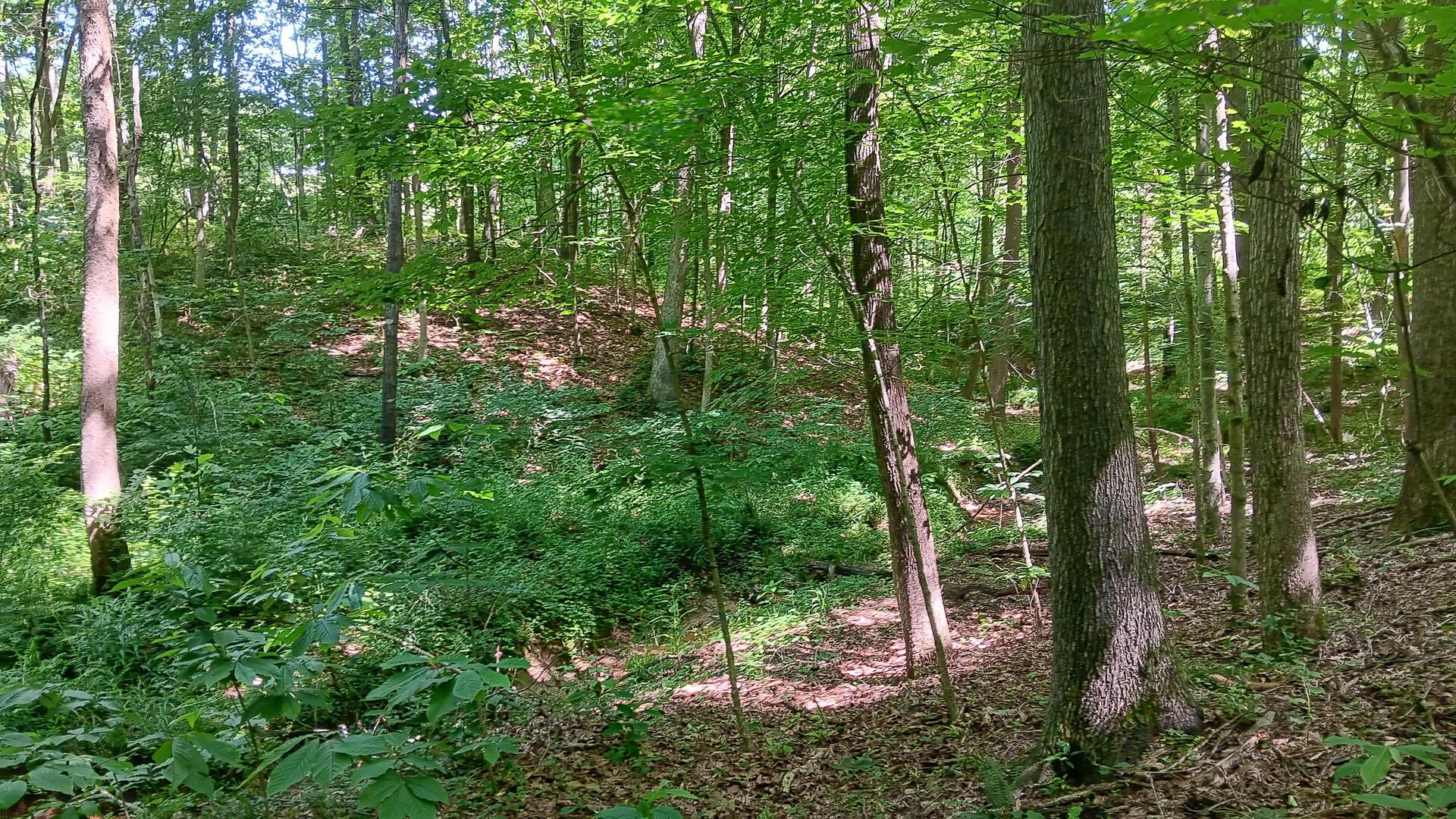 0 681st Road, Unit ALBANY HIDEAWAY TRACT 4) Albany, OH 45710 - Photo 29 of 47