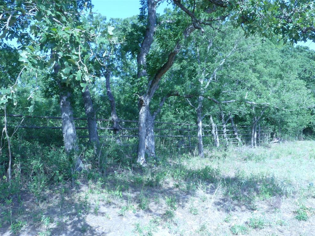 1691 West Alamo Road Bowie, TX 76230 - Photo 13 of 40 Gallery Image 13