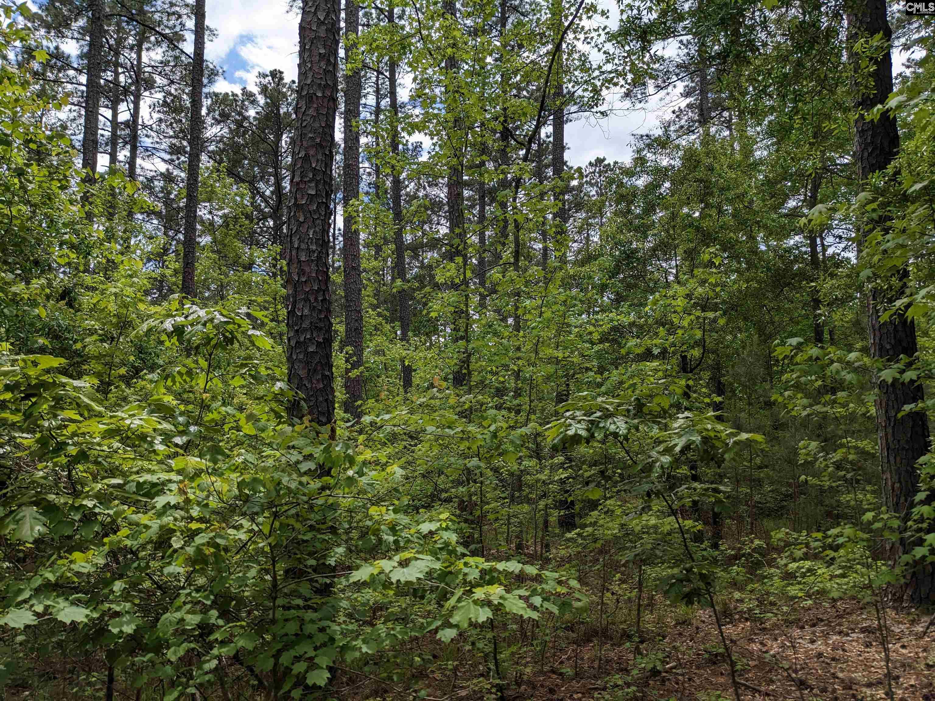 Syrup Mill Road Ridgeway, SC 29130 - Photo 19 of 33
