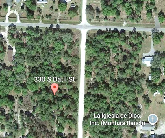 a view of a yard with plants and a large tree