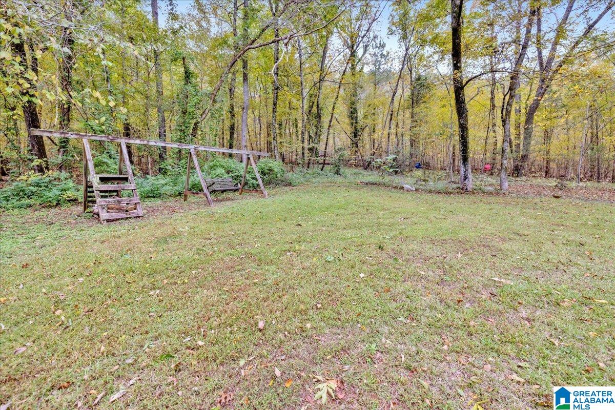 1215 Red Valley Road Remlap, AL 35133 - Photo 4 of 43