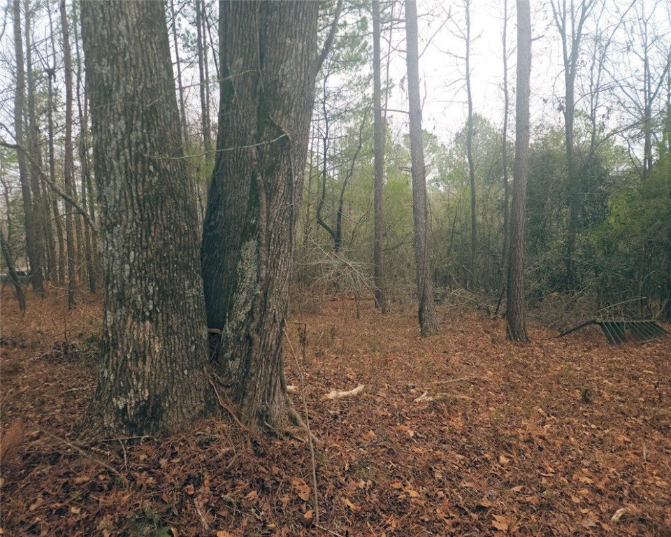 0 Jim Garrett Road Belton, SC 29627 - Photo 3 of 11