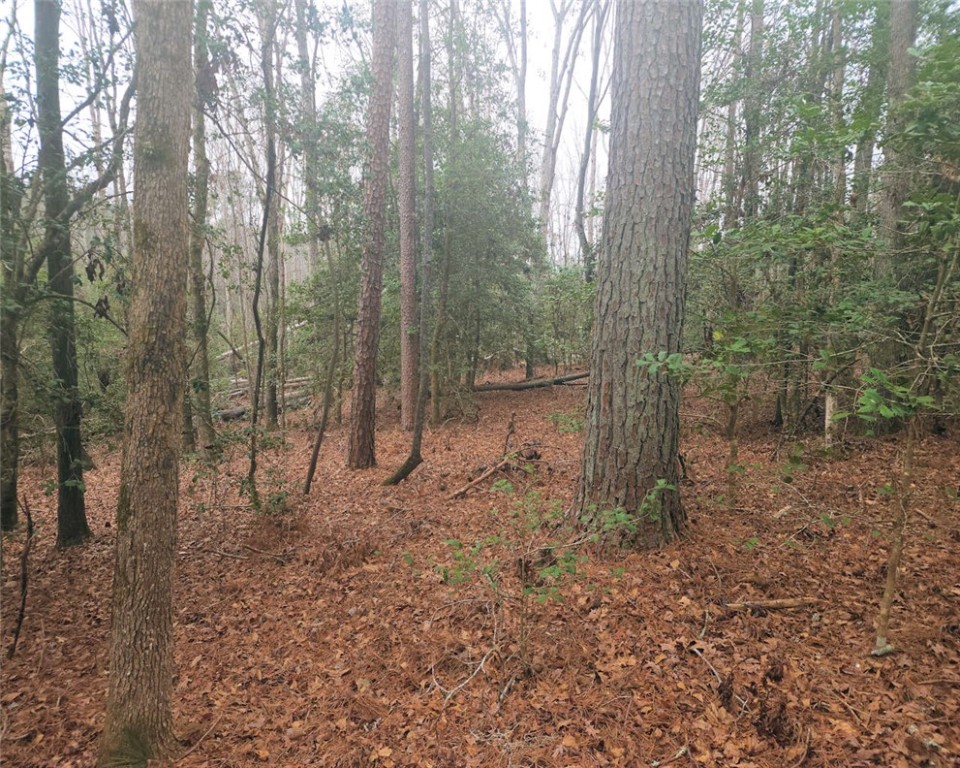 0 Jim Garrett Road Belton, SC 29627 - Photo 4 of 11