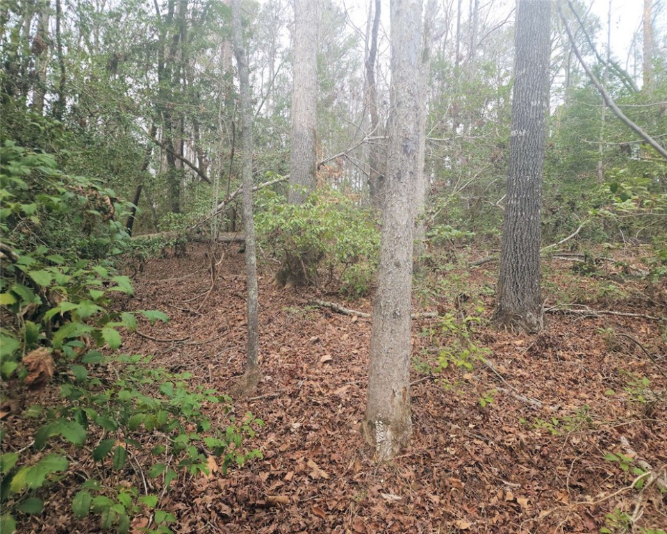 0 Jim Garrett Road Belton, SC 29627 - Photo 5 of 11