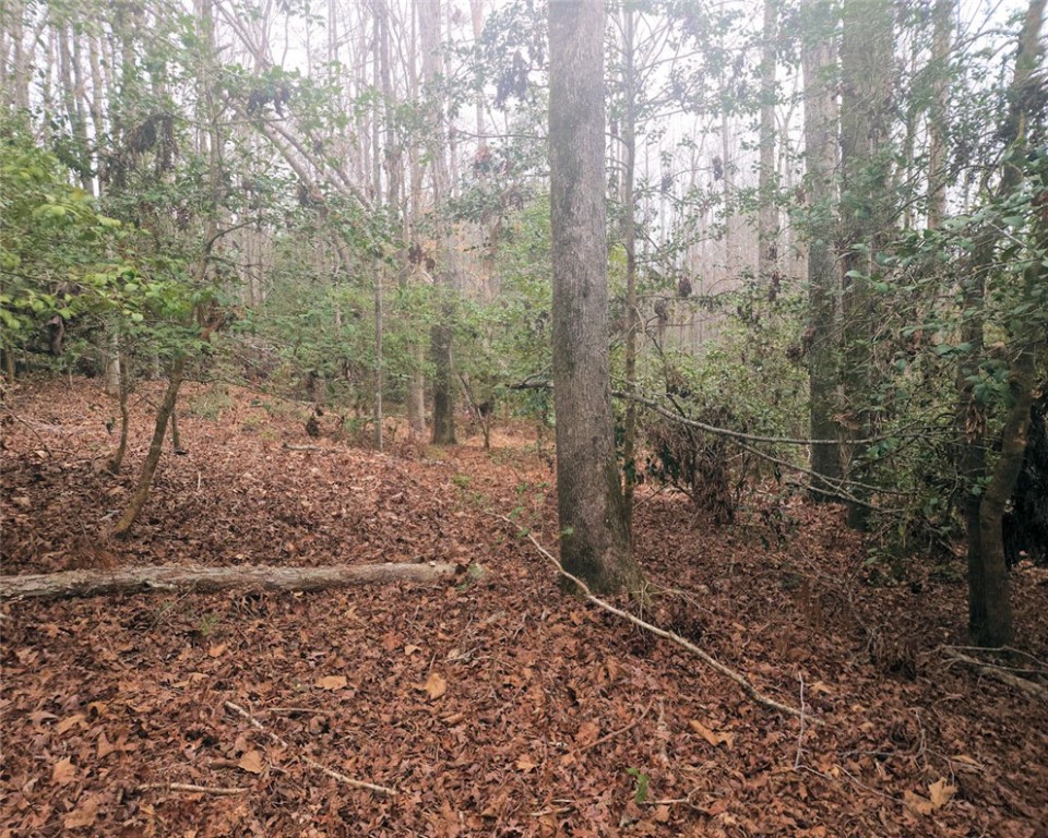 0 Jim Garrett Road Belton, SC 29627 - Photo 6 of 11