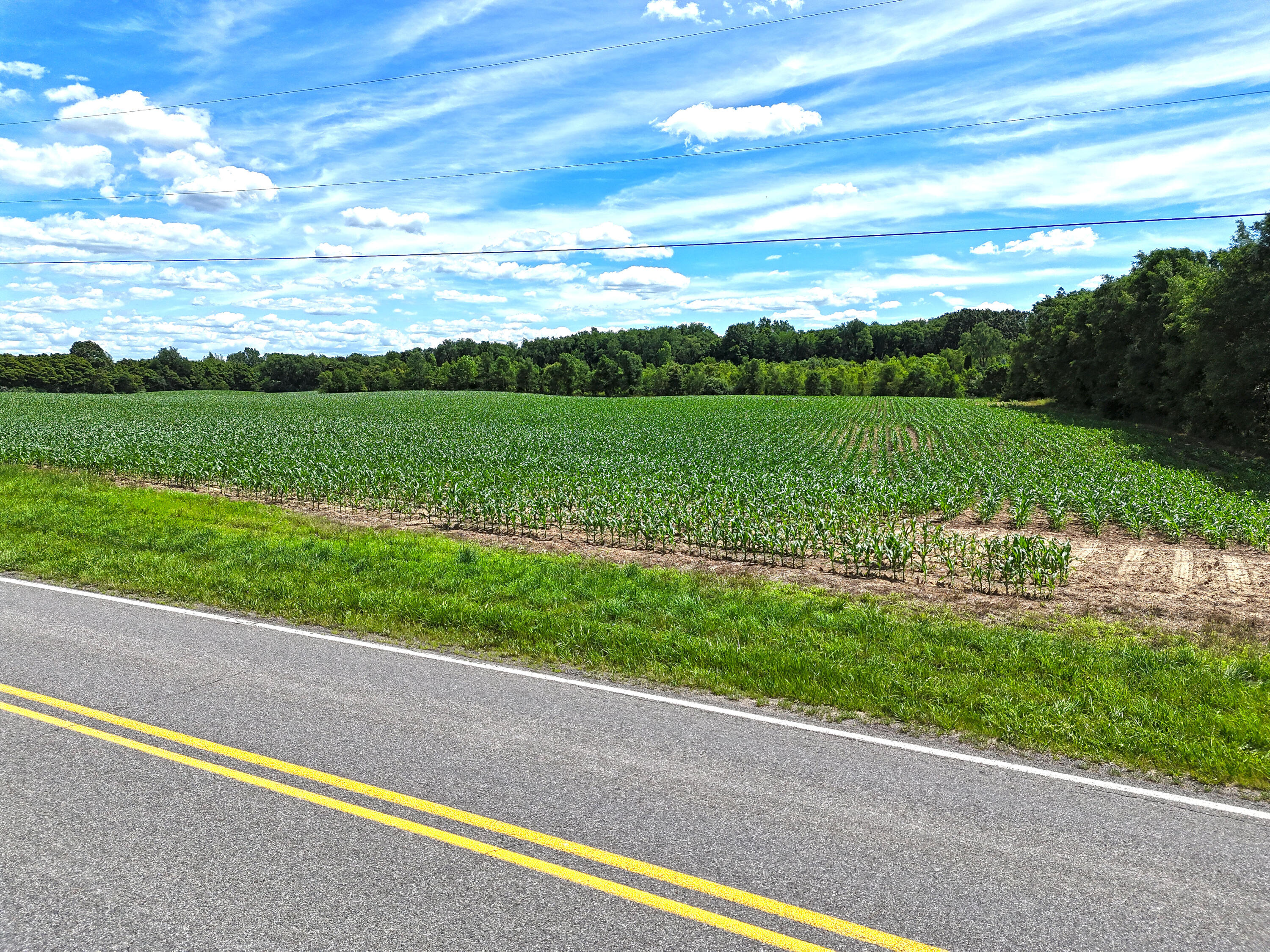 Territorial Road, Unit 5 75 Benton Harbor, MI 49022 - Photo 11 of 11 DJI_20260615162940_0675_D