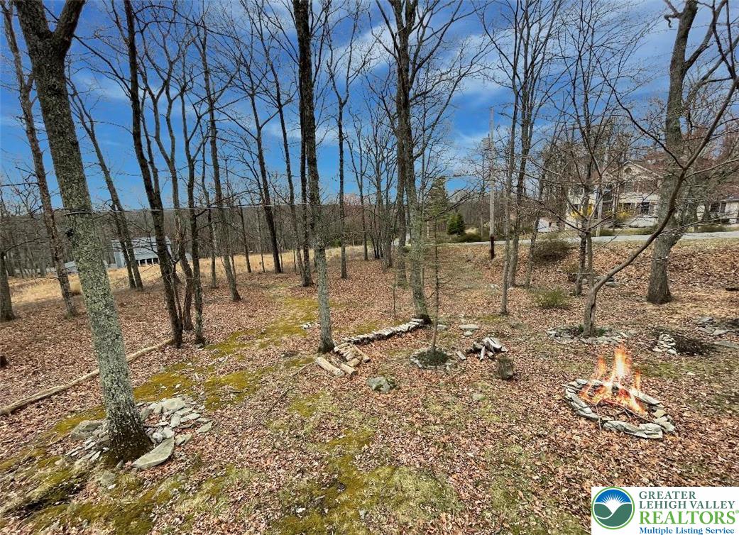 103 Ashley Court Bushkill, PA 18324 - Photo 46 of 68