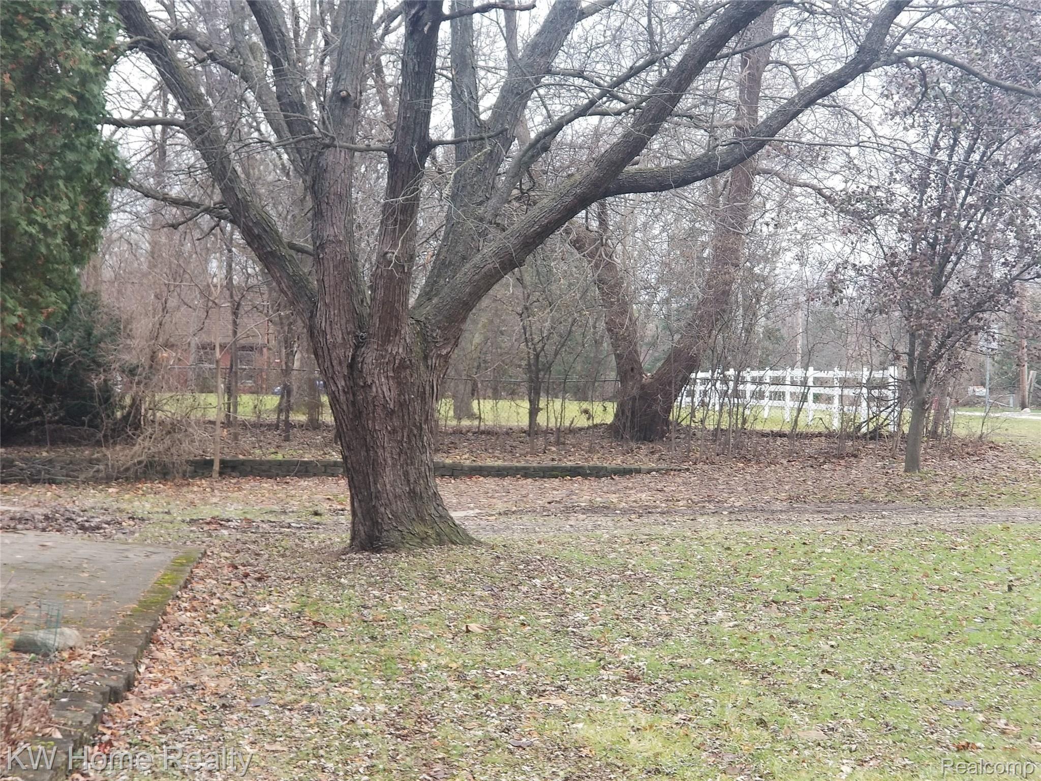 25815 Farmbrook Road Southfield, MI 48034 - Photo 24 of 34 REAR OF YARD
